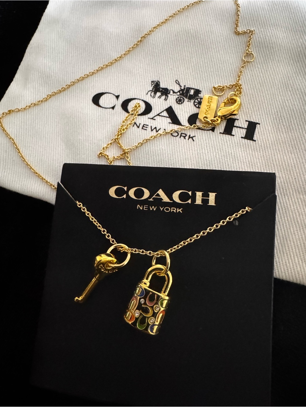 COACH Gold Padlock & Key Charm Necklace with Multicolor Enamel